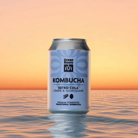 Kombucha lămâie și scorțișoară, 330mL